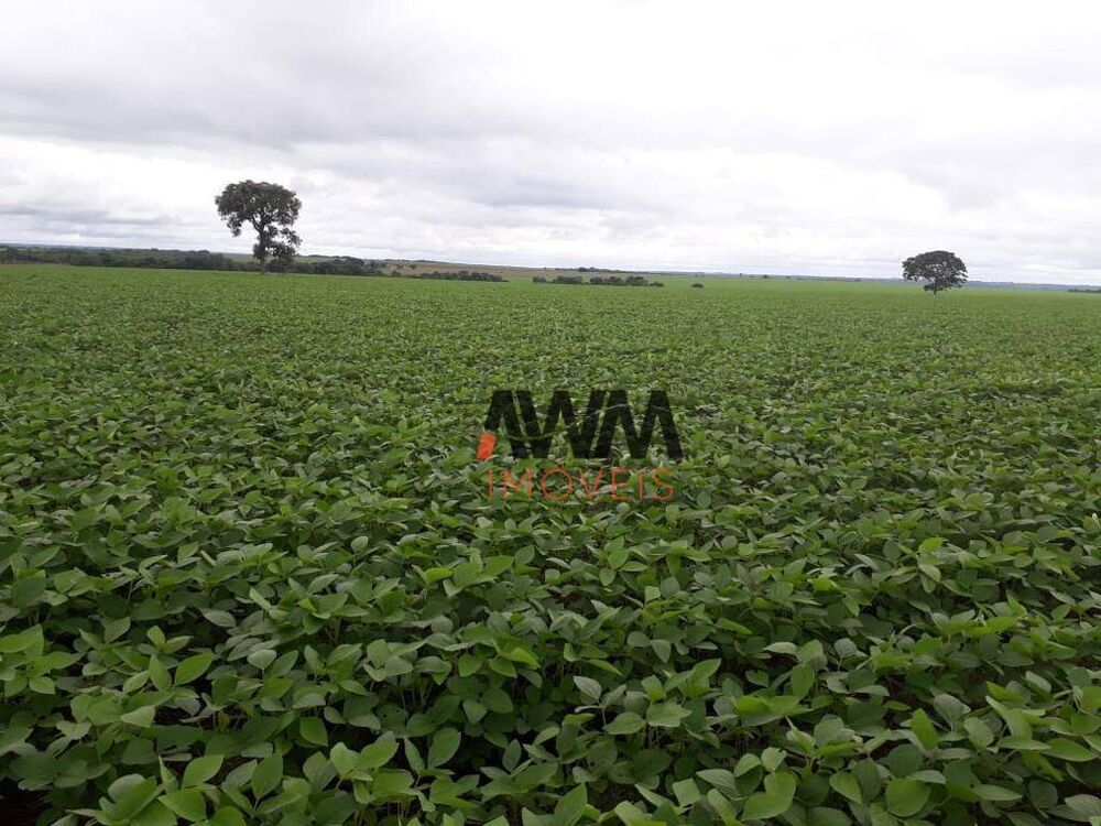 Fazenda à venda, 11520000M2 - Foto 5