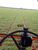 Fazenda-Sítio-Chácara, 1152 hectares - Foto 8
