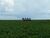 Fazenda-Sítio-Chácara, 1152 hectares - Foto 1