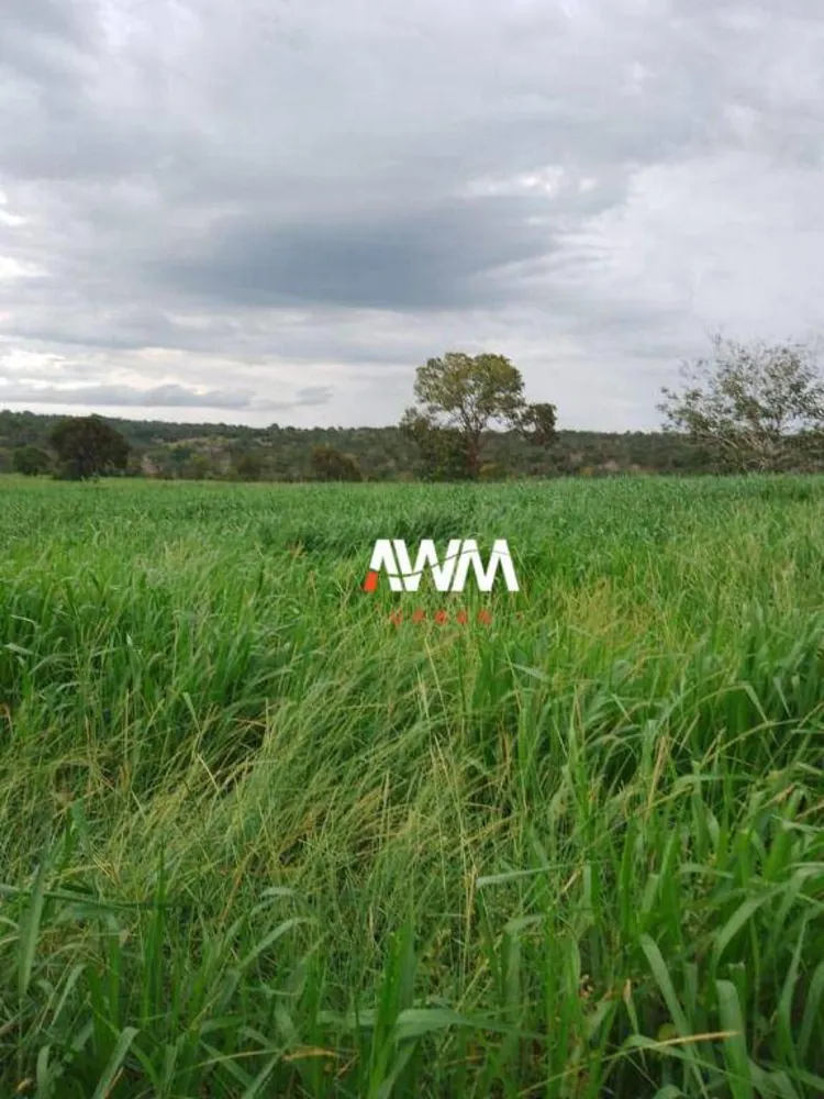 Fazenda, 179 hectares - Foto 3