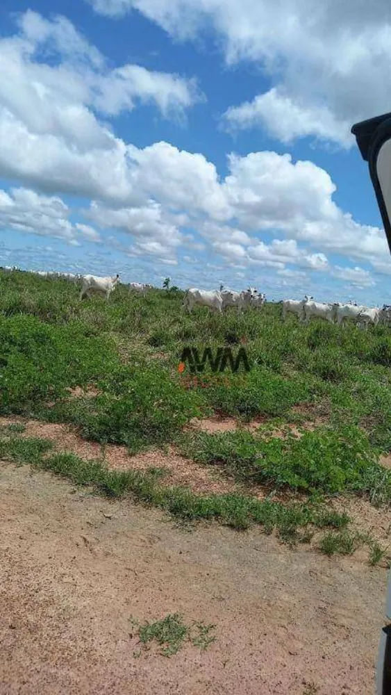 Fazenda, 5808 hectares - Foto 6