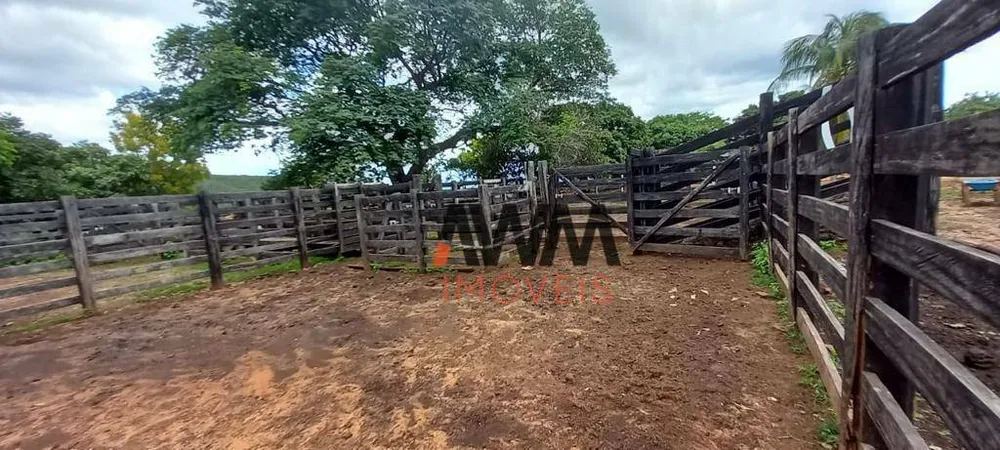 Fazenda, 513 hectares - Foto 4