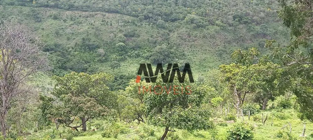 Fazenda, 513 hectares - Foto 7