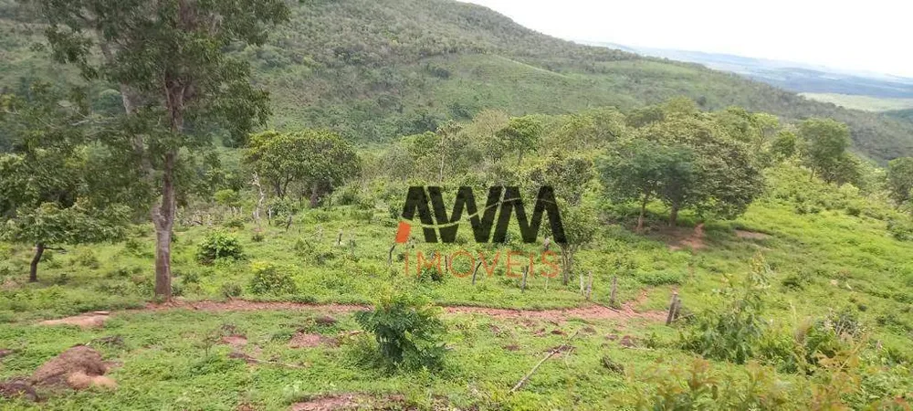 Fazenda, 513 hectares - Foto 10