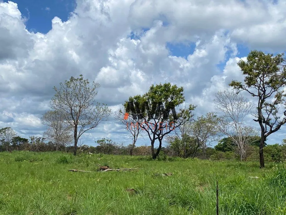 Fazenda, 513 hectares - Foto 12