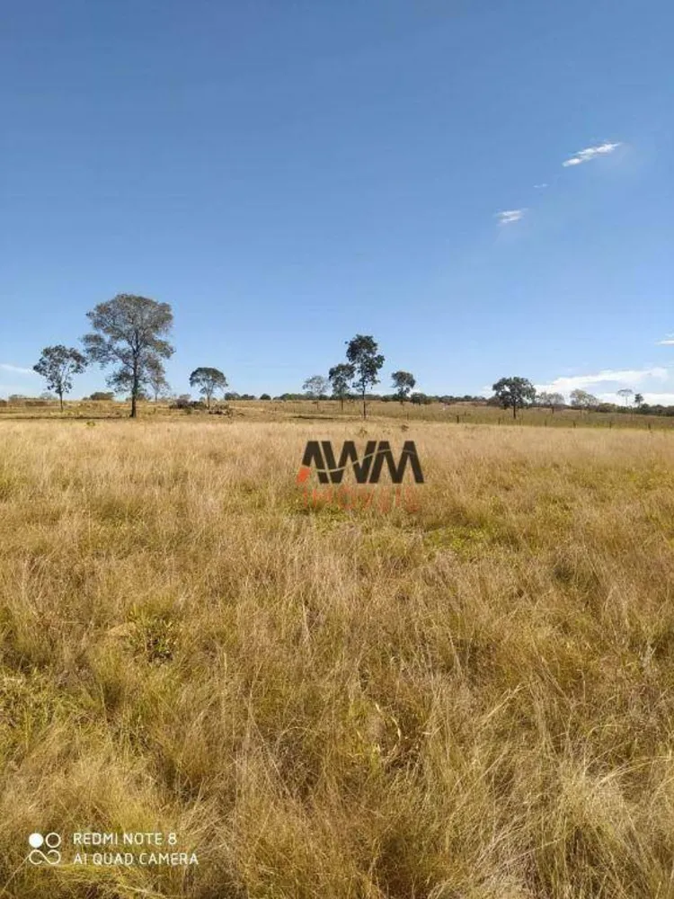 Fazenda, 1646 hectares - Foto 11