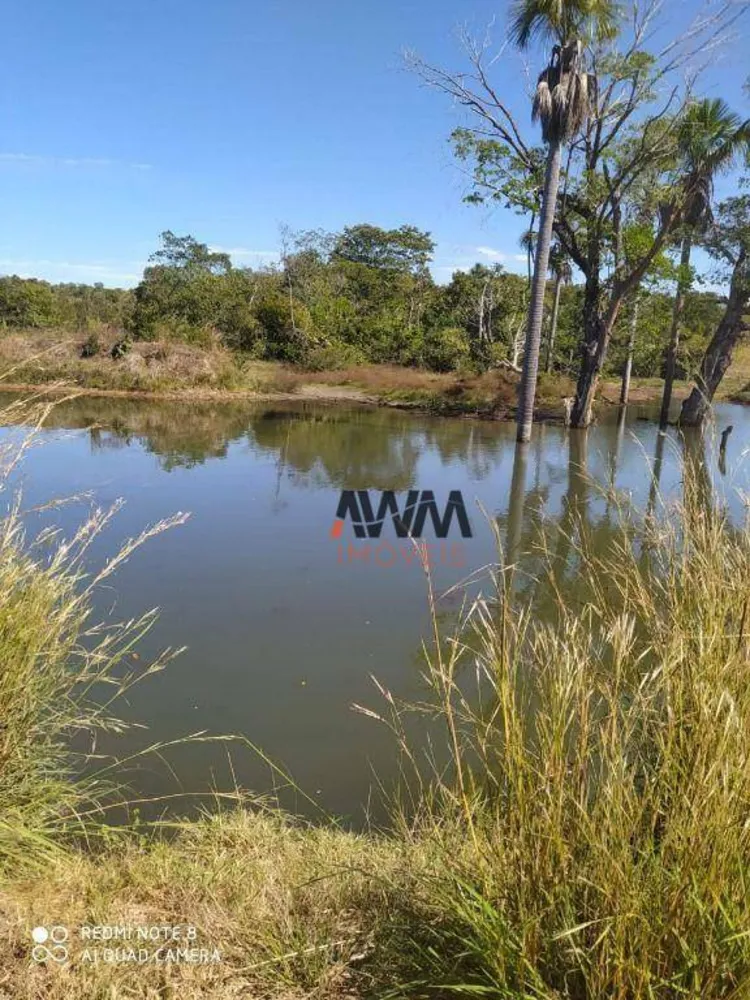 Fazenda, 1646 hectares - Foto 9