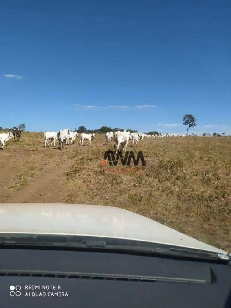 Fazenda, 1646 hectares - Foto 12