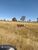 Fazenda, 1646 hectares - Foto 1