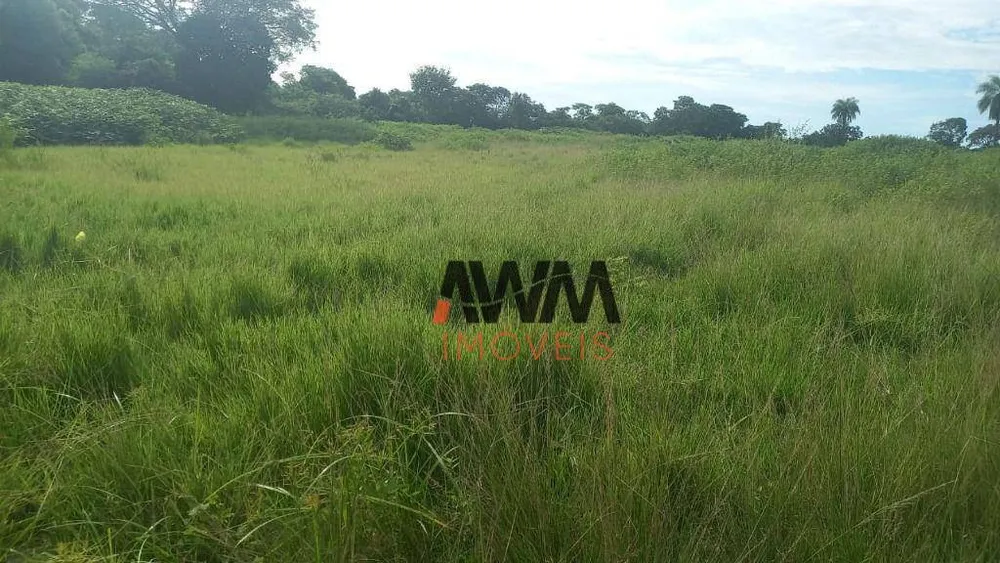Fazenda, 203 hectares - Foto 4