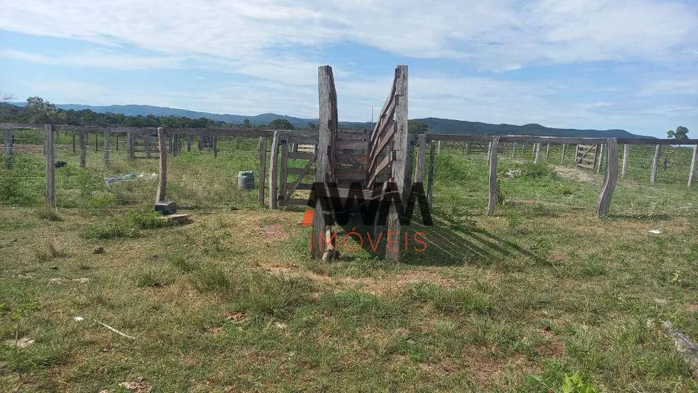 Fazenda, 203 hectares - Foto 10