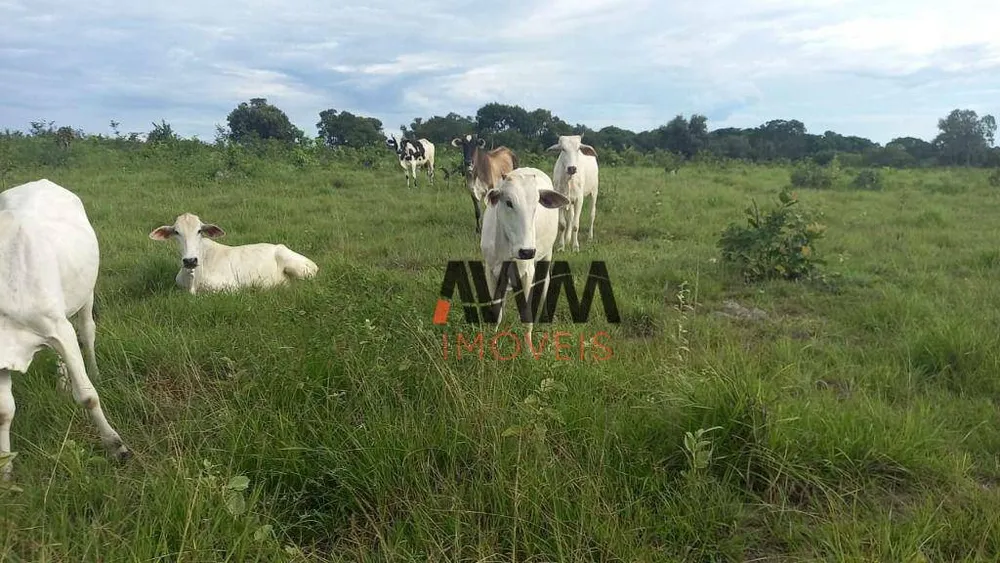 Fazenda, 203 hectares - Foto 7