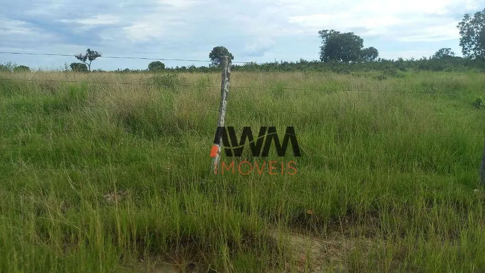 Fazenda, 203 hectares - Foto 12