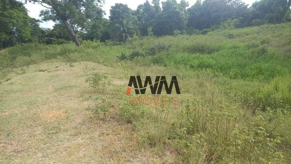 Fazenda, 203 hectares - Foto 3
