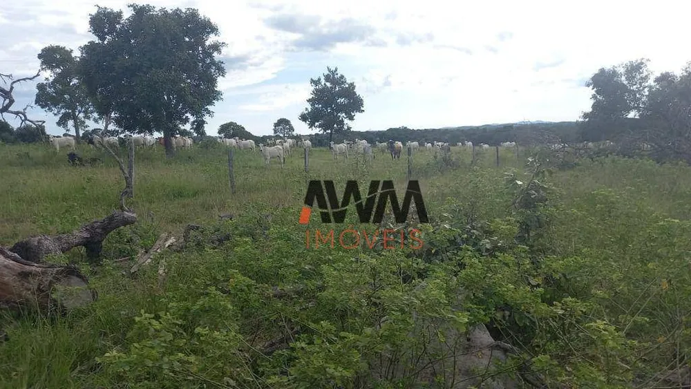 Fazenda, 203 hectares - Foto 11