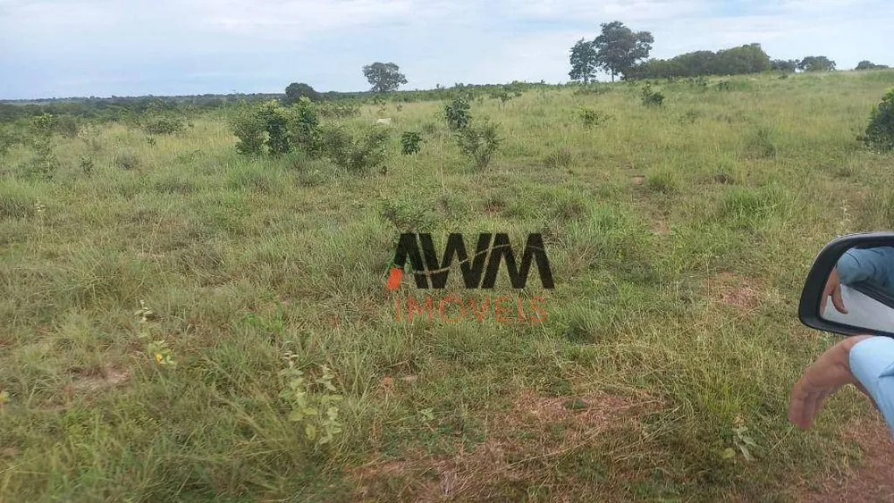 Fazenda, 203 hectares - Foto 6