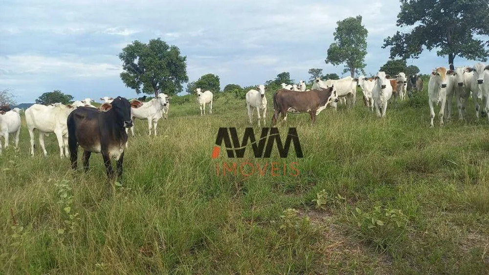 Fazenda, 203 hectares - Foto 1