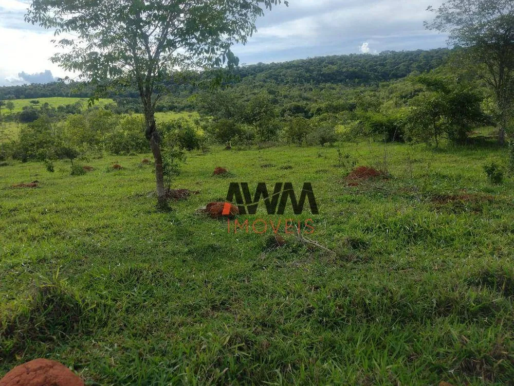 Fazenda, 87 hectares - Foto 5