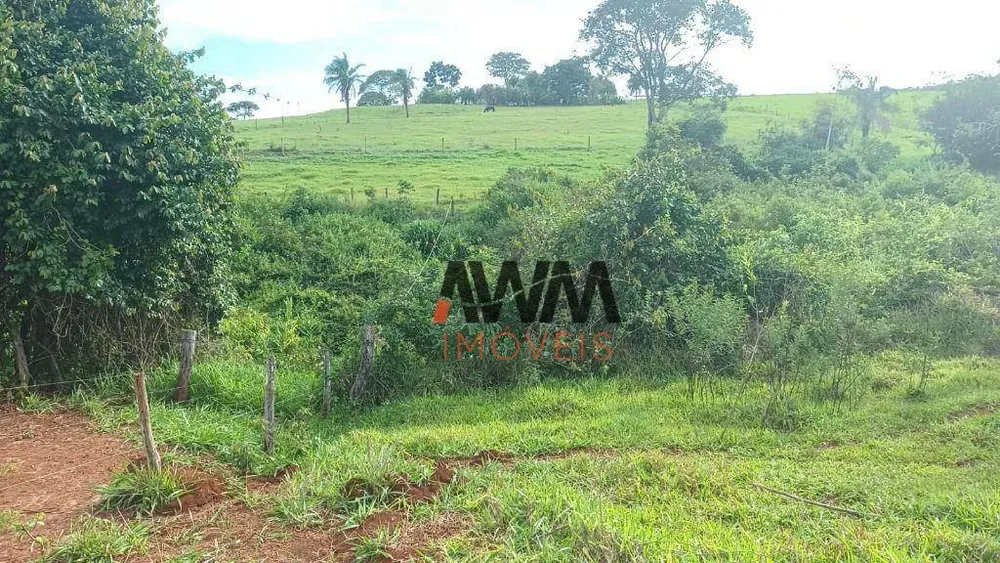 Fazenda, 87 hectares - Foto 11