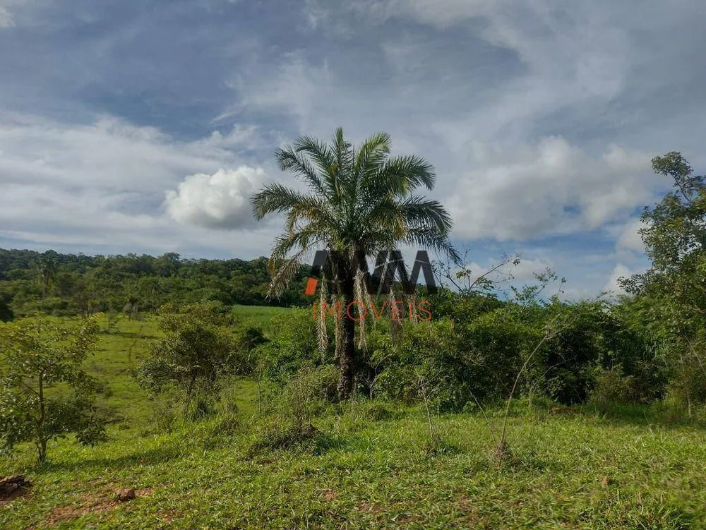 Fazenda, 87 hectares - Foto 4