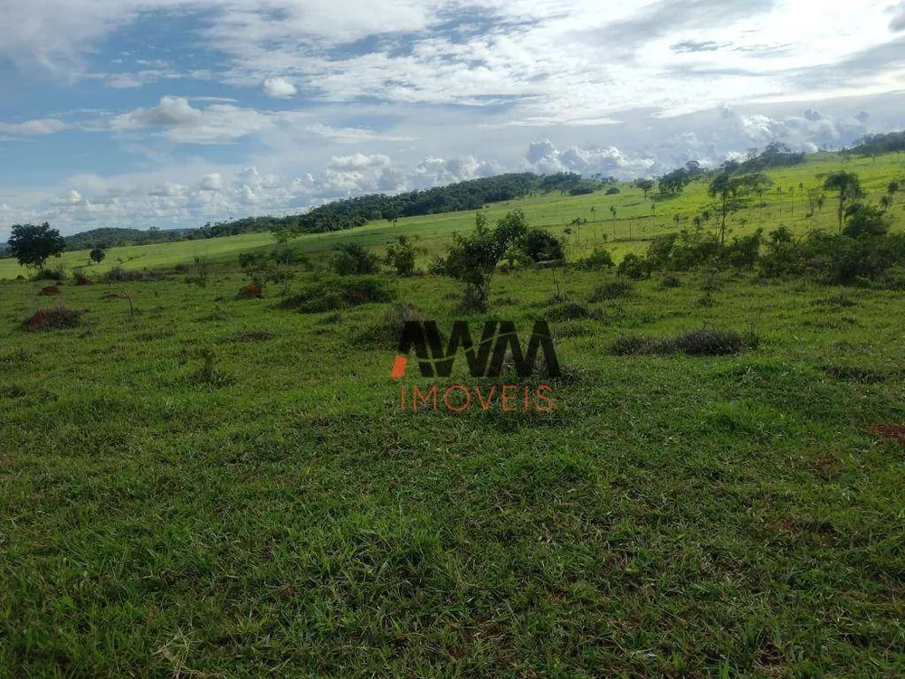 Fazenda, 87 hectares - Foto 7