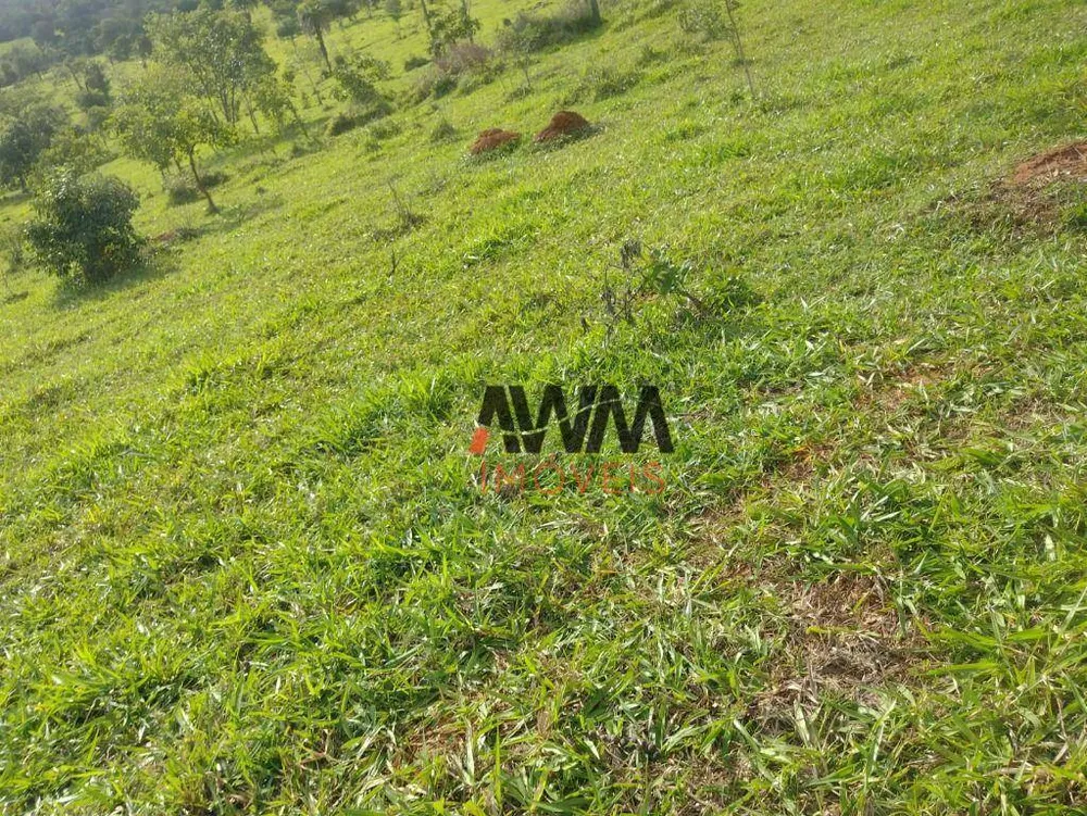 Fazenda, 87 hectares - Foto 10
