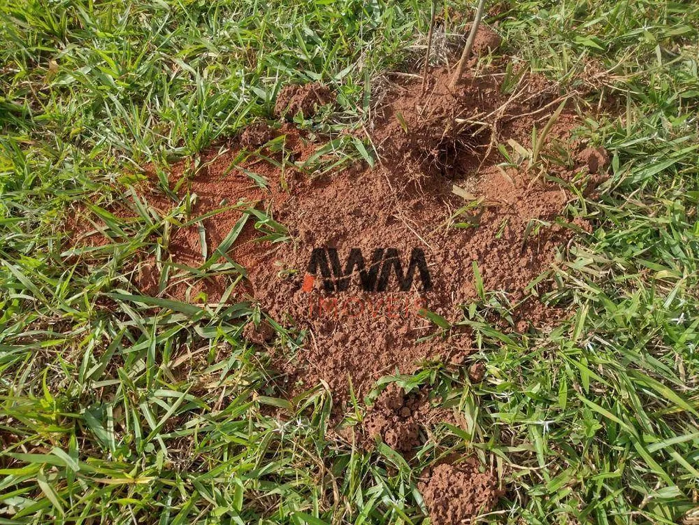 Fazenda, 87 hectares - Foto 3