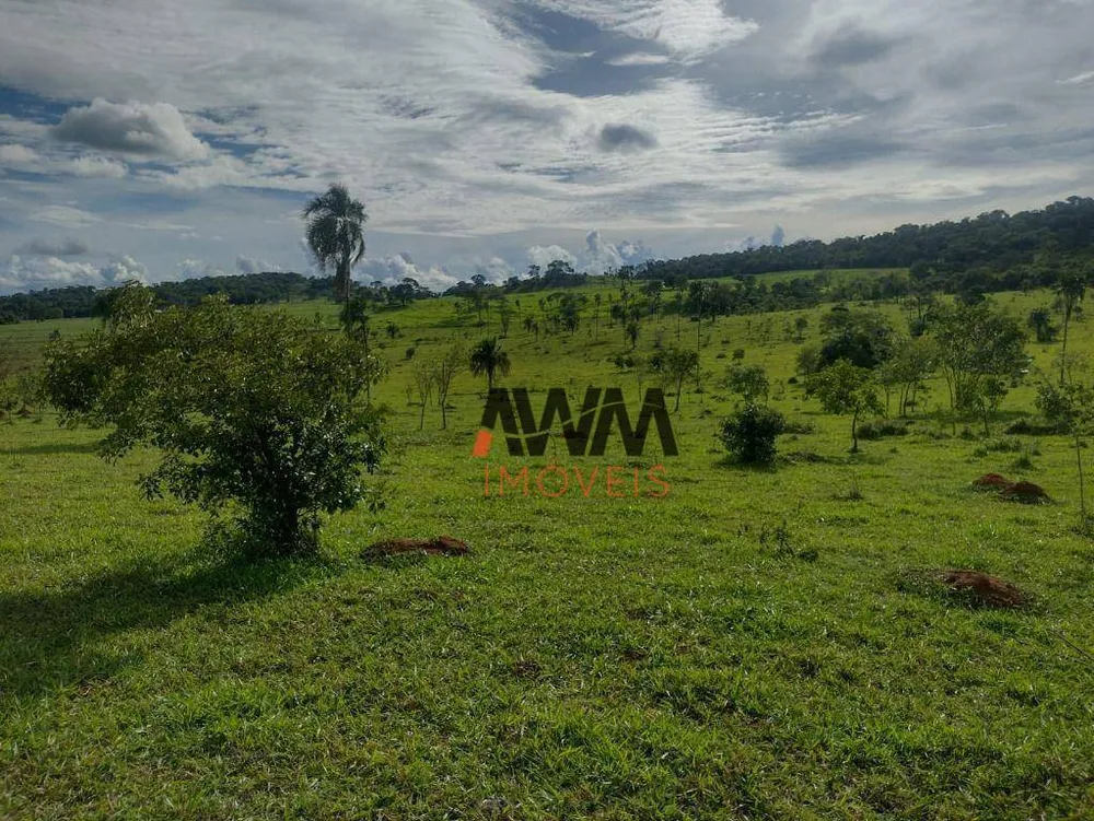 Fazenda, 87 hectares - Foto 9