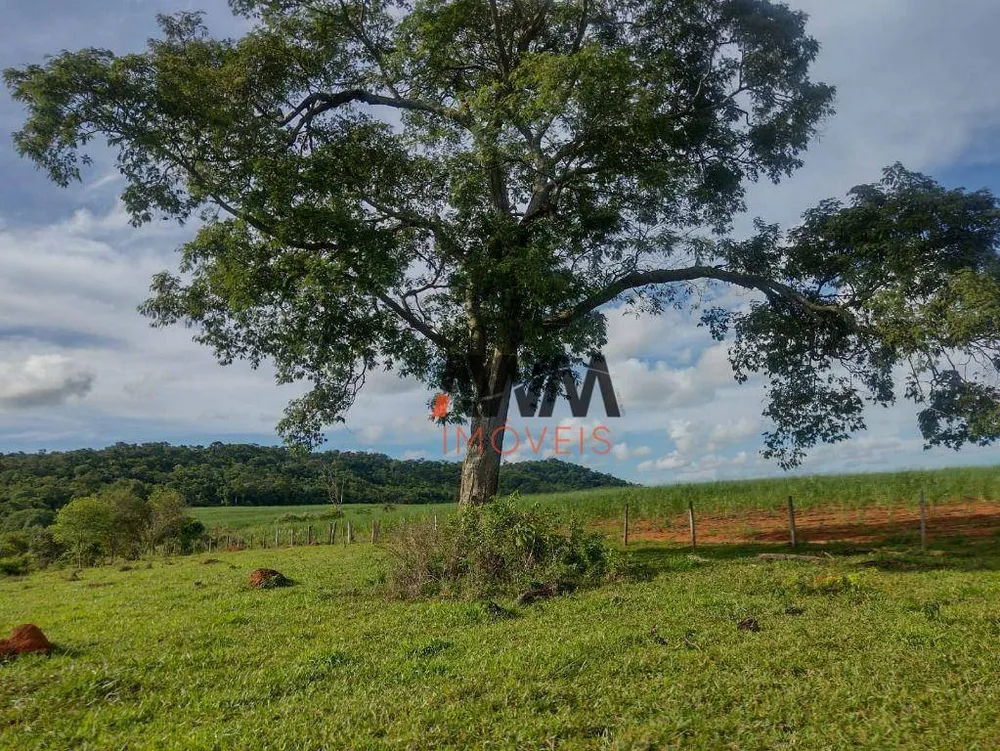 Fazenda, 87 hectares - Foto 1