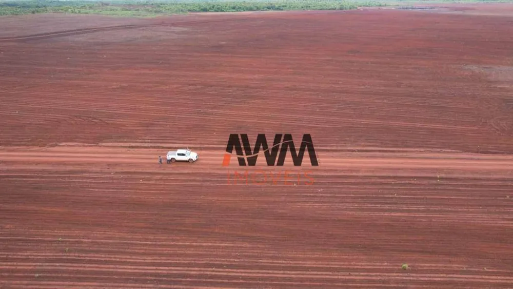 Fazenda, 10000 hectares - Foto 8