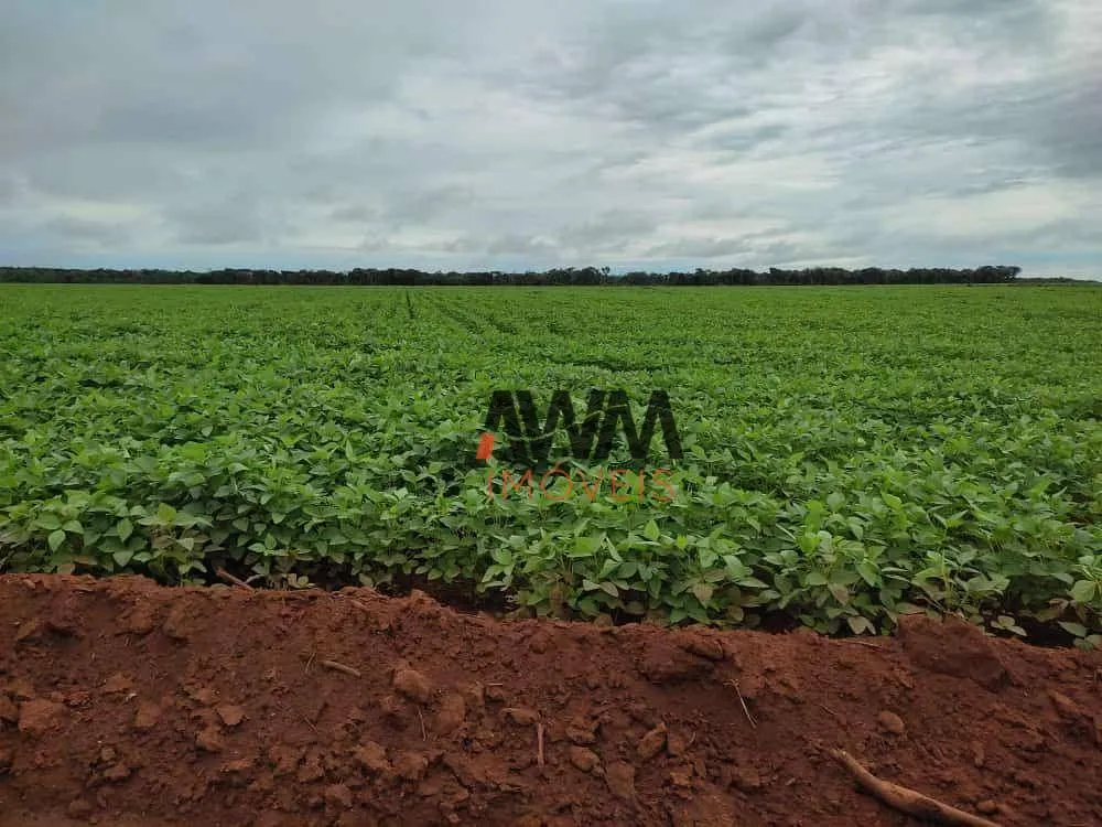 Fazenda, 10000 hectares - Foto 7