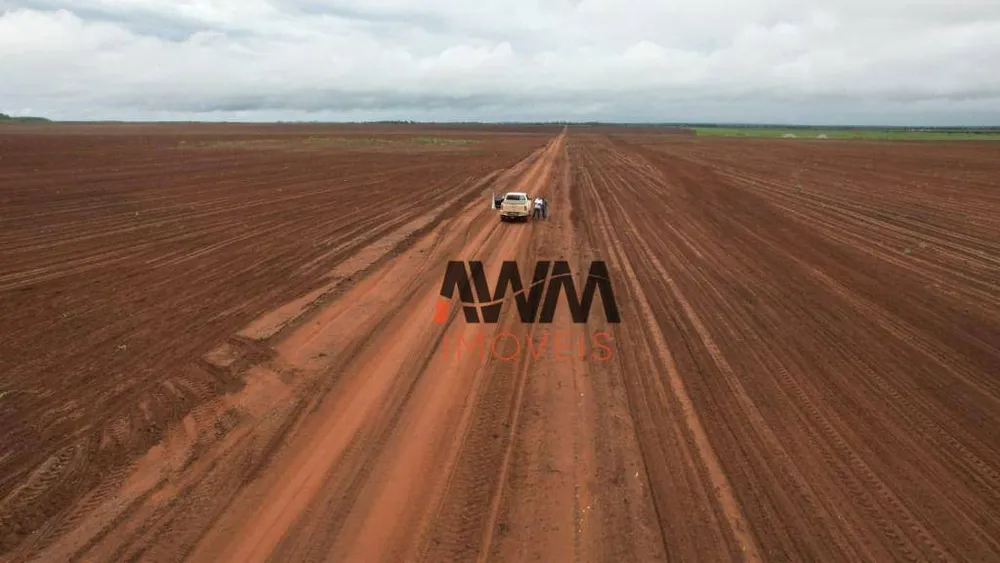 Fazenda, 10000 hectares - Foto 13