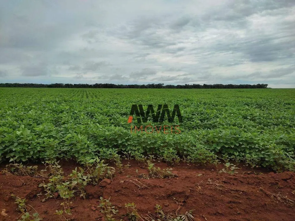 Fazenda, 10000 hectares - Foto 11