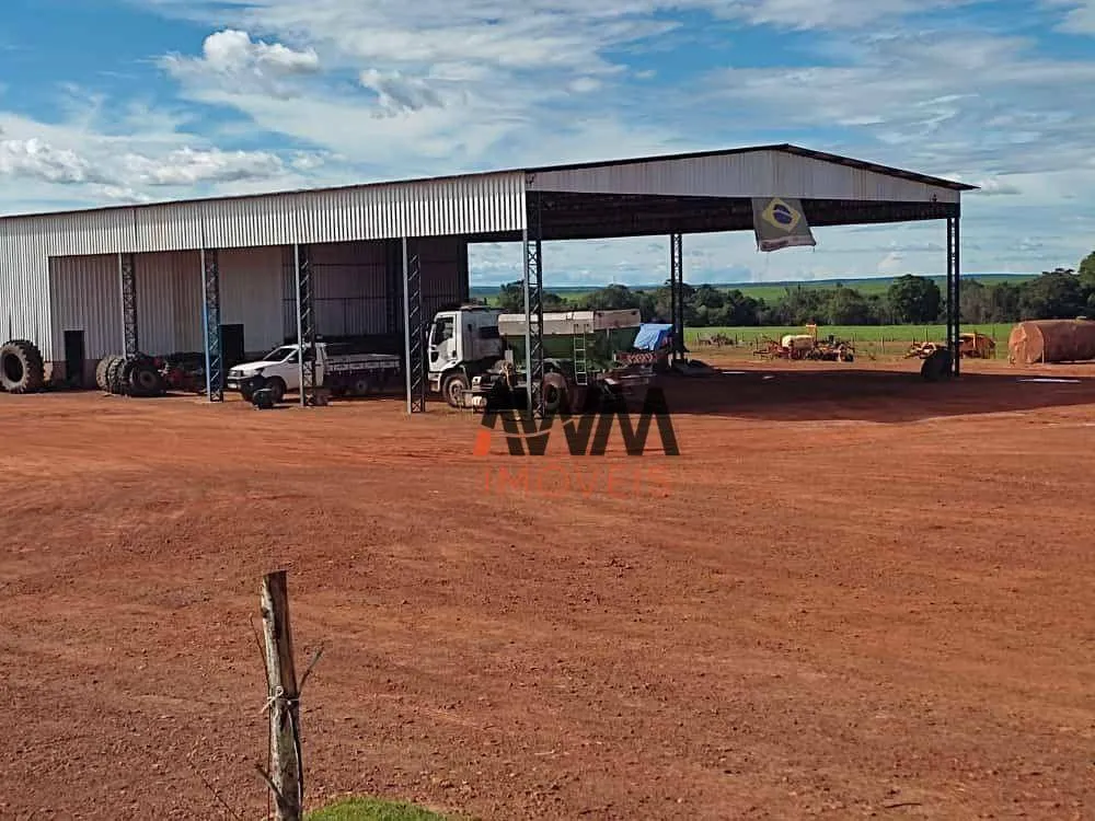 Fazenda, 10000 hectares - Foto 6