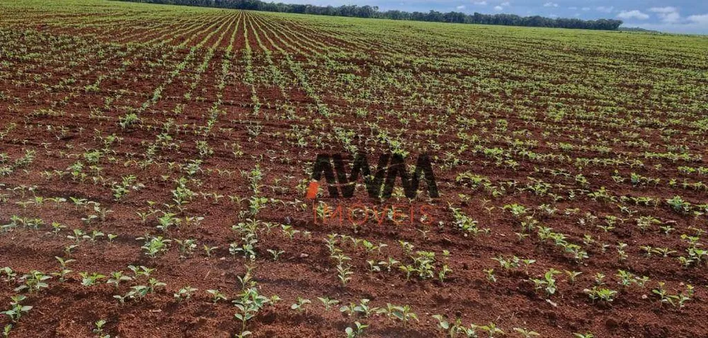 Fazenda, 10000 hectares - Foto 1