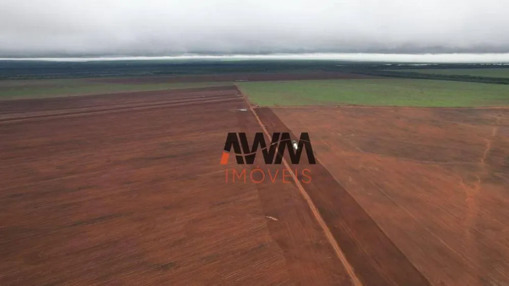 Fazenda, 10000 hectares - Foto 3