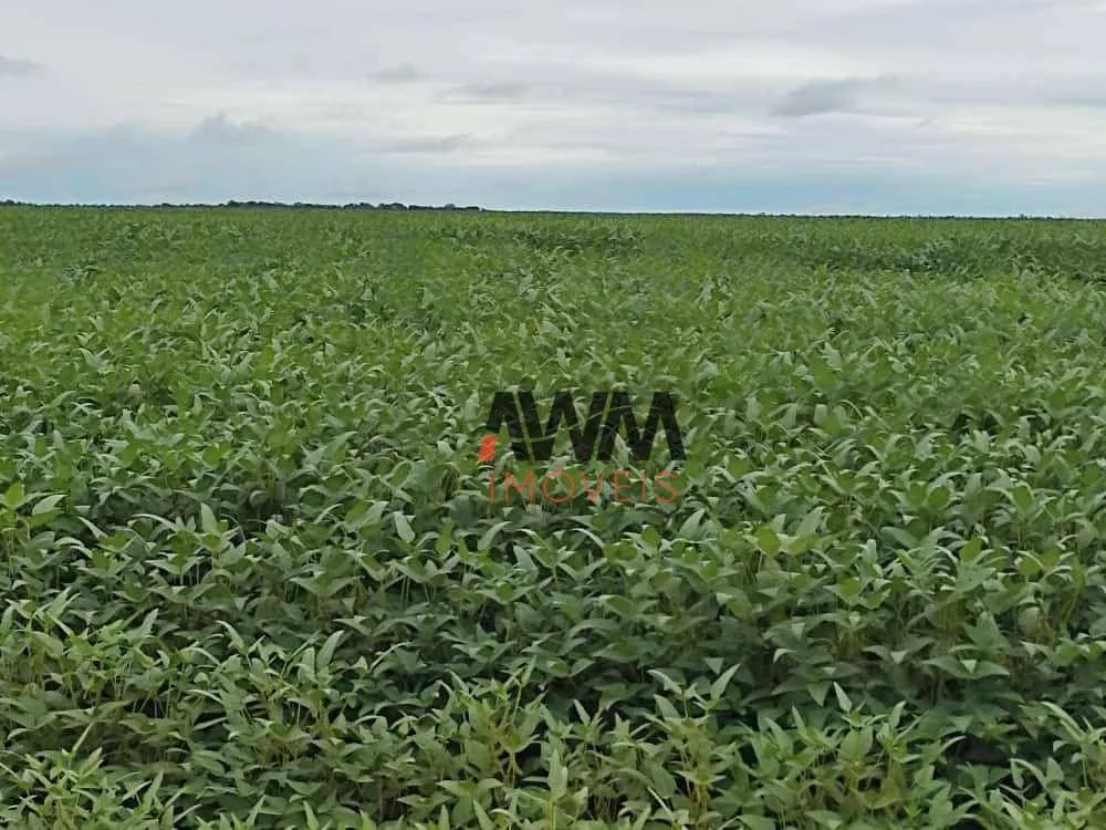 Fazenda, 10000 hectares - Foto 14