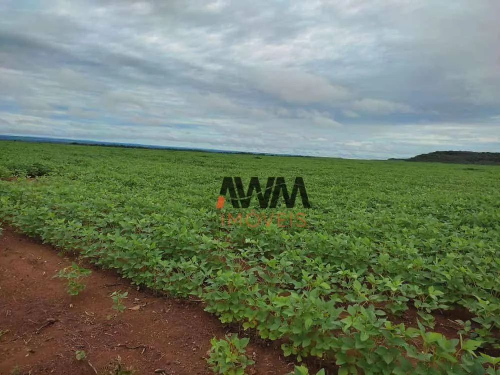 Fazenda, 10000 hectares - Foto 2