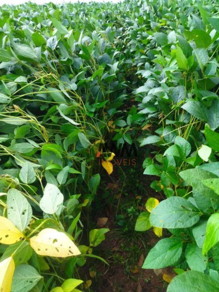 Fazenda, 4845 hectares - Foto 11