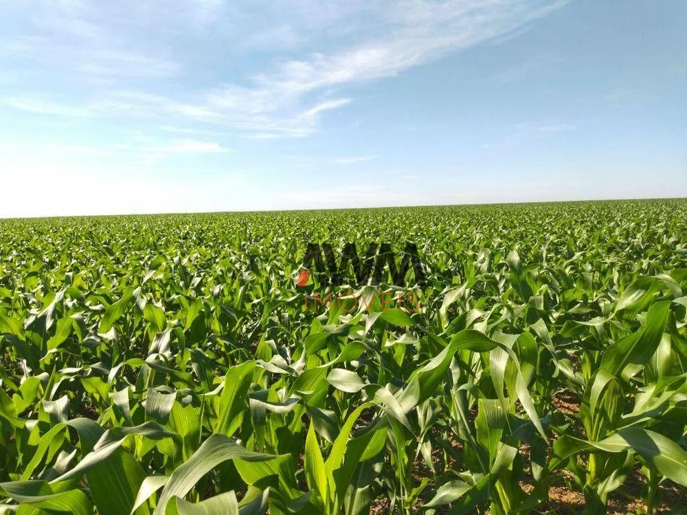 Fazenda, 4845 hectares - Foto 2
