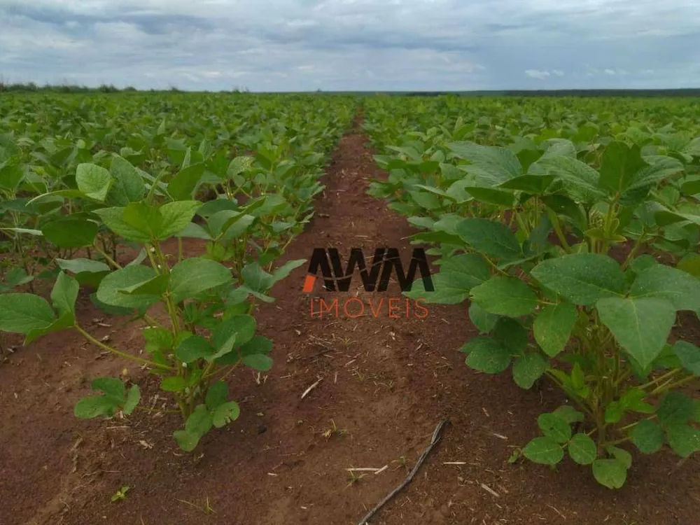 Fazenda, 4845 hectares - Foto 4