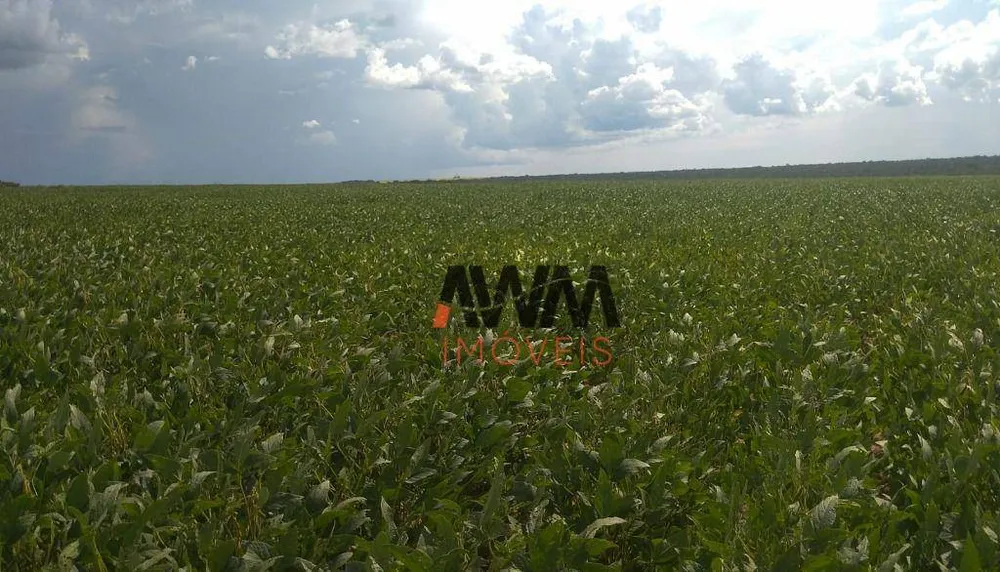 Fazenda, 4845 hectares - Foto 1
