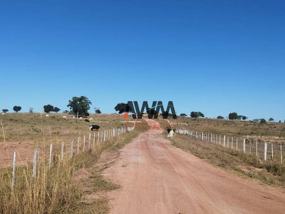 Fazenda, 586 hectares - Foto 7