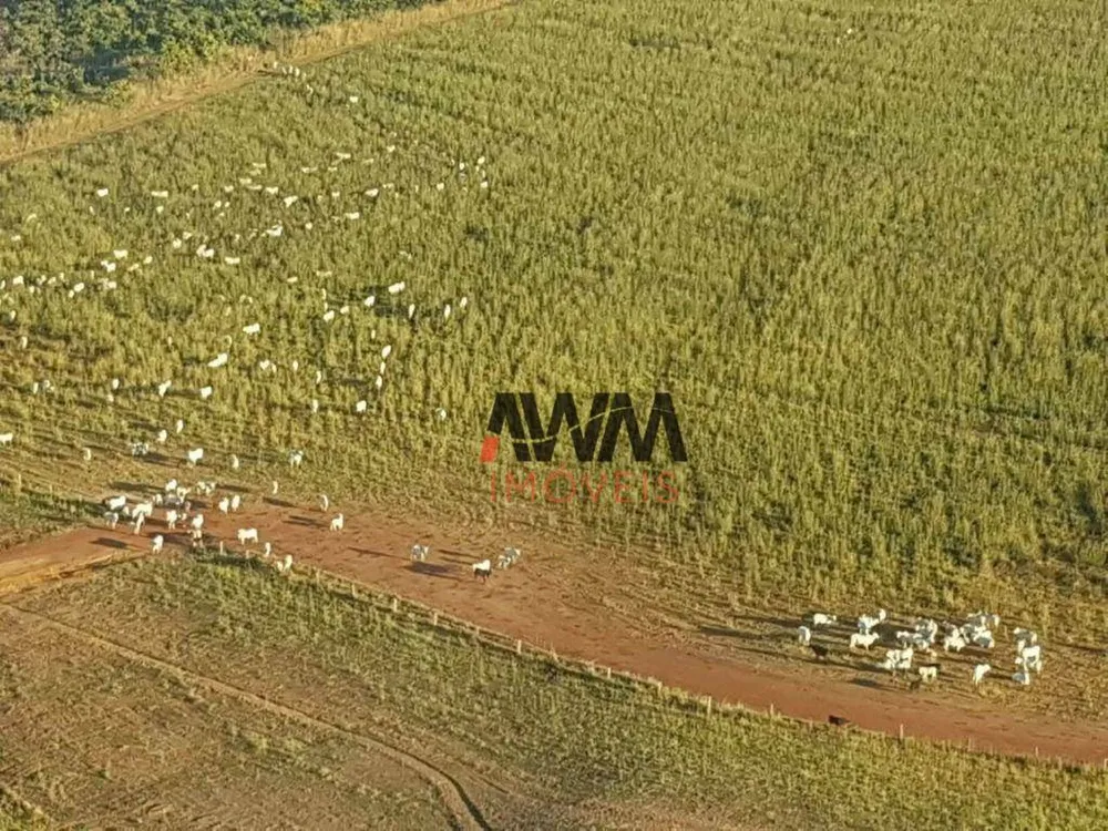 Fazenda, 17000 hectares - Foto 11