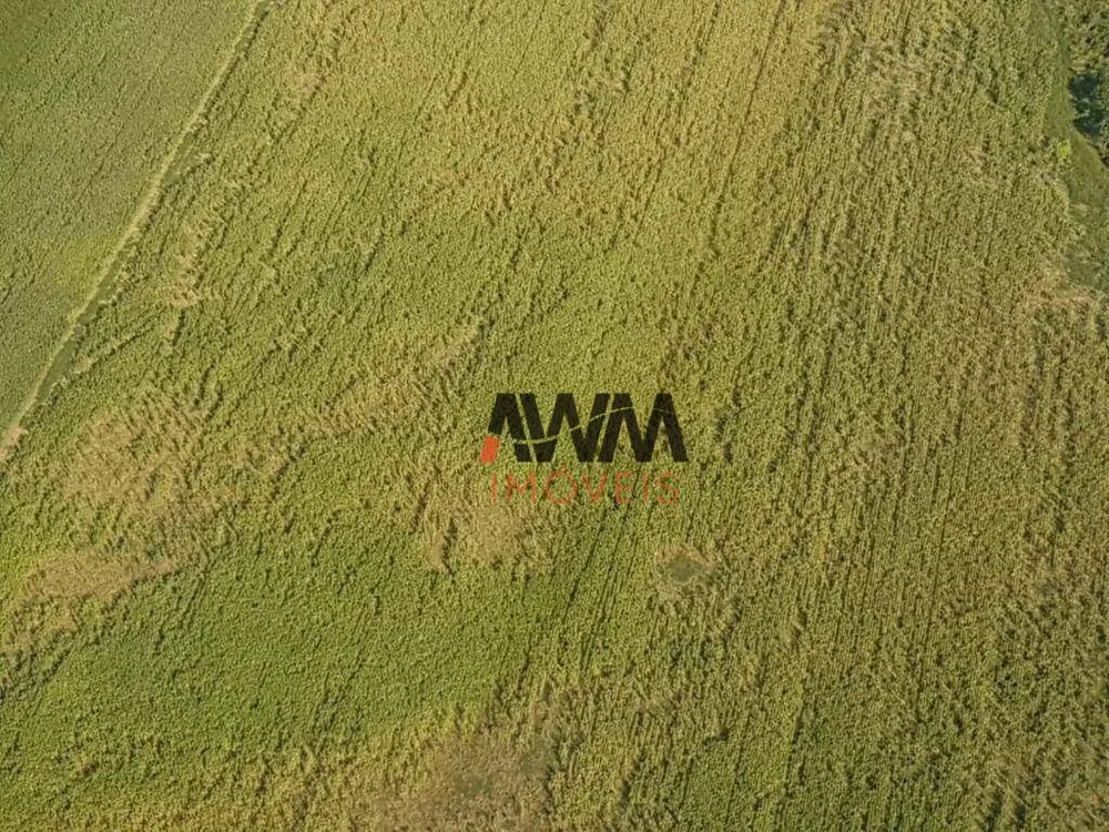 Fazenda, 17000 hectares - Foto 4