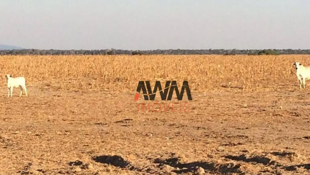 Fazenda, 35000 hectares - Foto 13