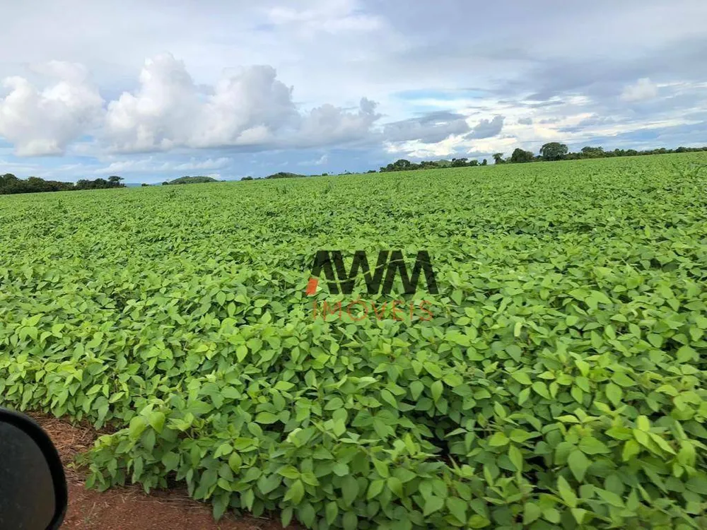 Fazenda, 35000 hectares - Foto 18