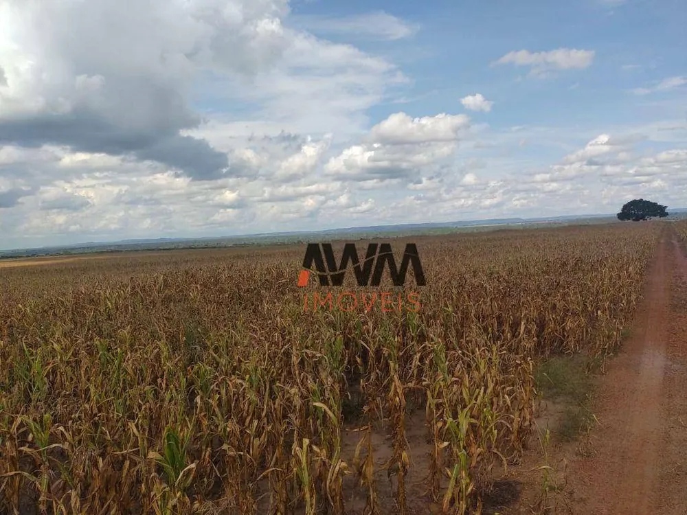 Fazenda, 16000 hectares - Foto 11