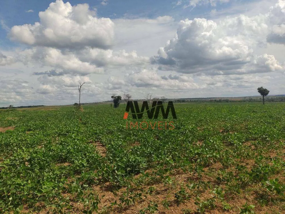 Fazenda, 16000 hectares - Foto 15