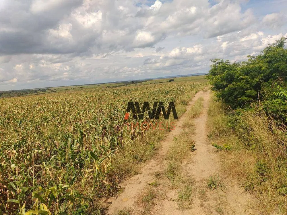 Fazenda, 16000 hectares - Foto 14